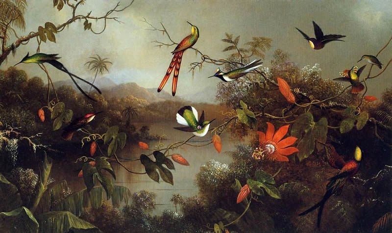Martin Johnson Heade Tropical Landscape with Ten Hummingbirds